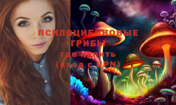 СК Абдулино