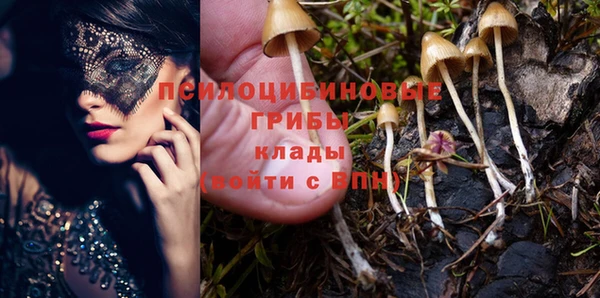 трава Абаза