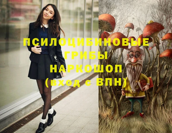 СК Абдулино