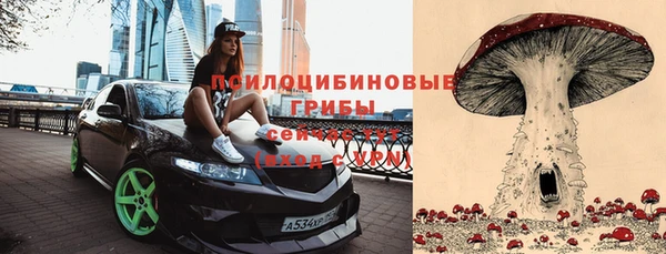 трава Абаза