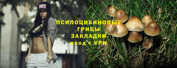 трава Абаза