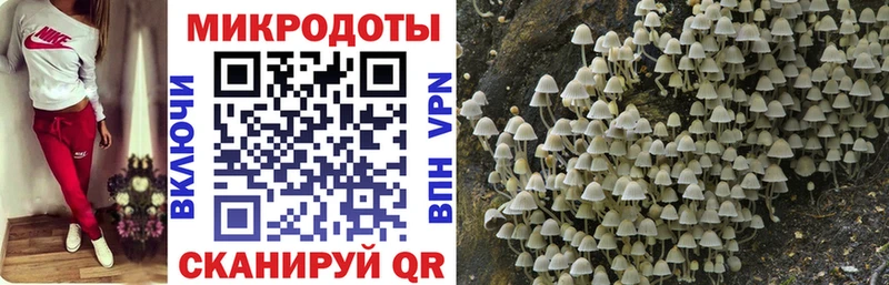 Псилоцибиновые грибы GOLDEN TEACHER  Сафоново 
